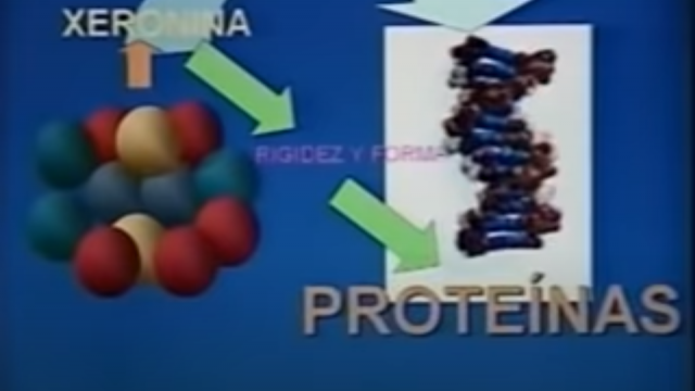 Palestra: O Funcionamento do Noni no Organismo. Dr. Laurentino Ortega
